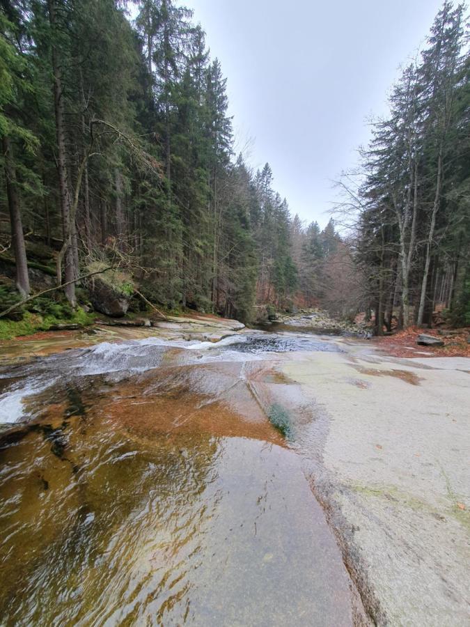 Pronájem Apartmánu V Tanvaldu Esterno foto