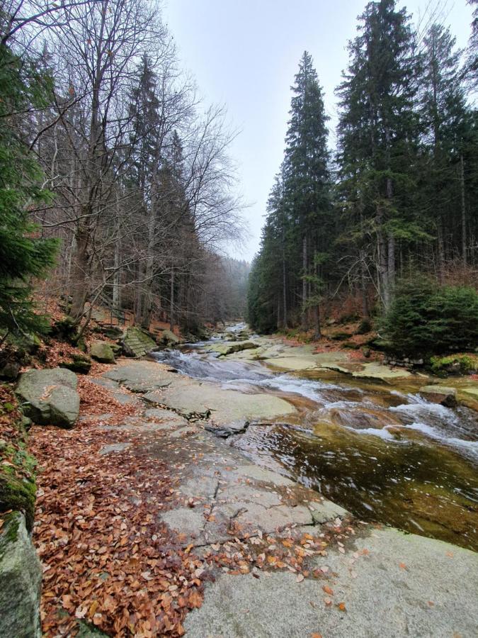 Pronájem Apartmánu V Tanvaldu Esterno foto