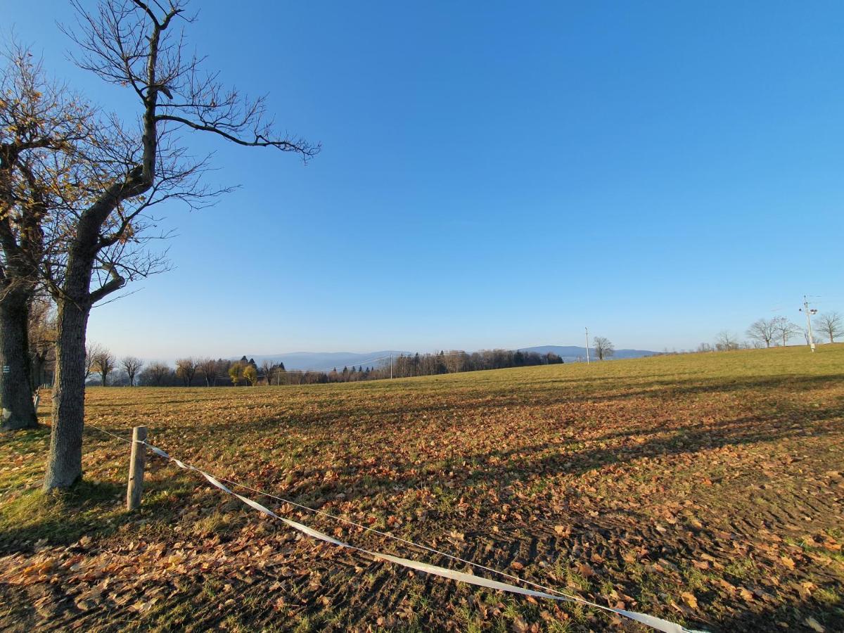 Pronájem Apartmánu V Tanvaldu Esterno foto
